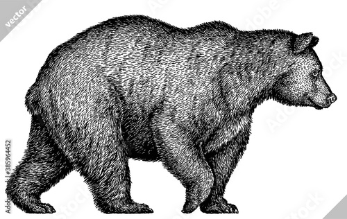 black and white linear paint draw bear vector illustration