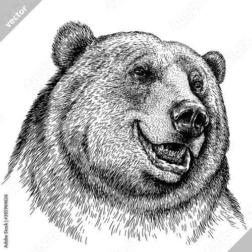 black and white linear paint draw bear vector illustration