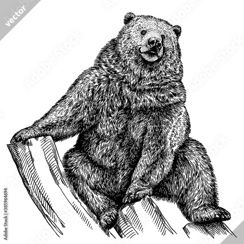 black and white linear paint draw bear vector illustration