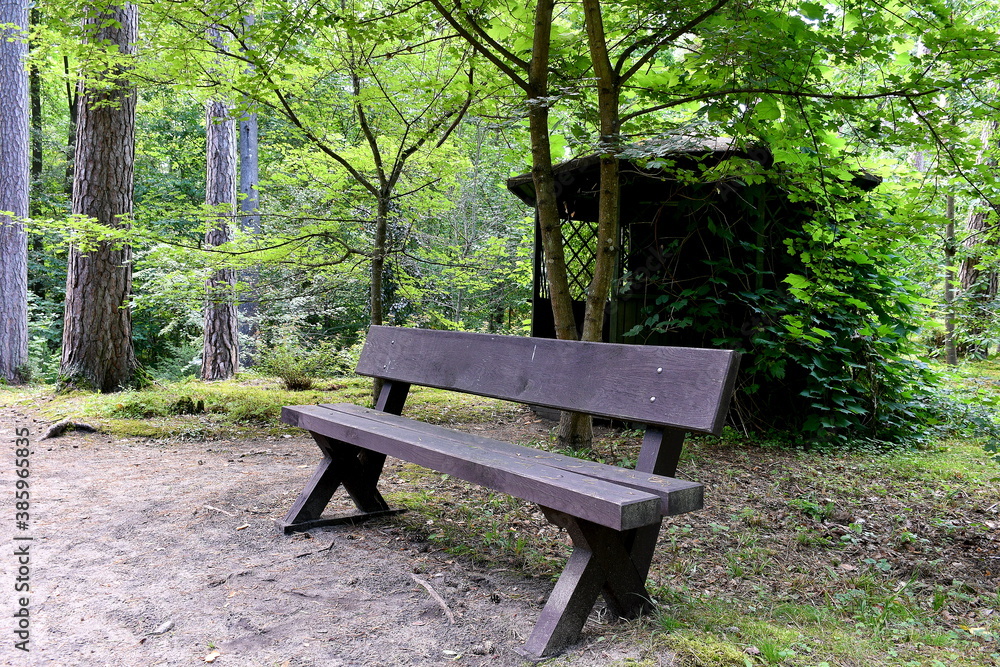 A close up on a wooden bench made out of logs, planks, and boards located next to a small shack or hut located in the middle of a dense forest or moor next to a dirt path or walkway spotted in Poland A close up on a wooden bench made out of logs, planks, and boards located next to a small shack or hut located in the middle of a dense forest or moor next to a dirt path or walkway spotted in Poland