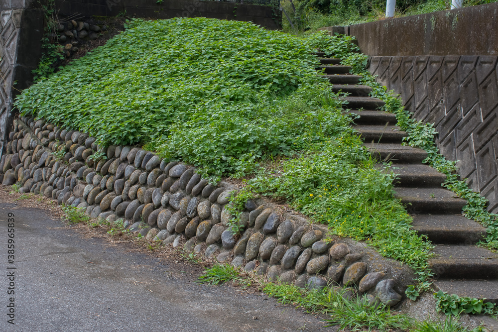 Obraz premium grass and stair on the stone wall