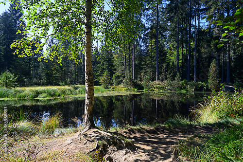 Grimmeisenweiher im Bayrischen Wald.. © walterbild