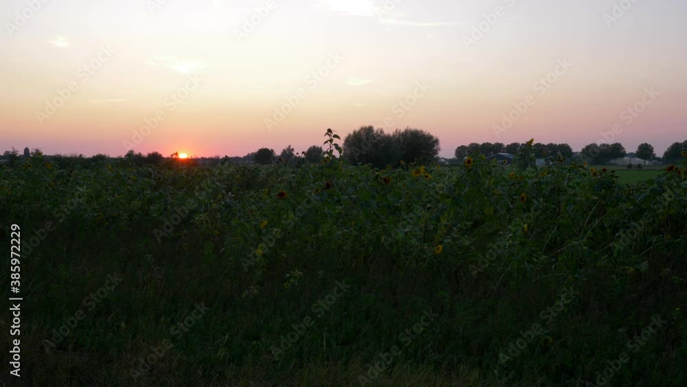 Beautiful sunset on a summer evening. Sunsets on the horizon Real time 4K Beautiful sunset on a summer evening. Sunsets on the horizon Real time 4K