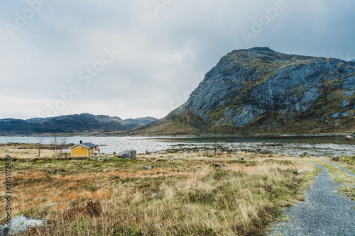 Widok na fjordy na wyspie Flakstadøya nalerzącej do Archipelagu Lofoty w okręgu Nordland w Norwegii