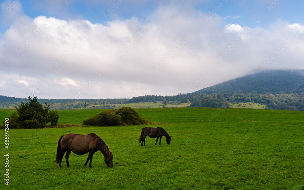 Two horses grazing grass in Beskid Niski mountains area. Cloudy sky. Regietow Wyzny, Poland, Europe. Two horses grazing grass in Beskid Niski mountains area. Cloudy sky. Regietow Wyzny, Poland, Europe.