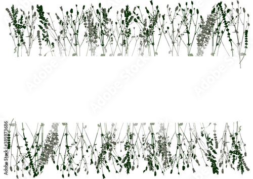 Borders with silhouettes of wild herbs and copyspace - background for natural design