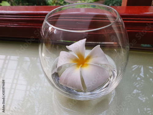 The White Plumeria flowers or Frangipani flowers are picked from the branches and placed in clear glassware on the dining table to add to the fresh atmosphere and to have a subtle scent. 