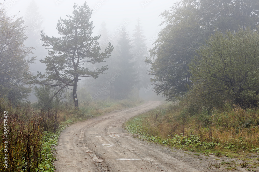 Foggy morning in mountains forest. Dirt road tourist trail in mist. Regietow Wyzny, Poland, Europe. Beskid Niski mountains.