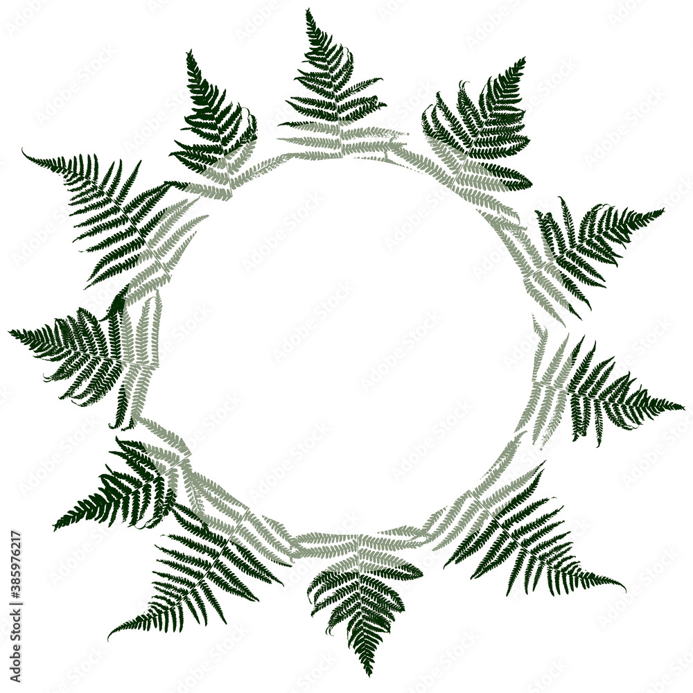 Round frame with green fern leaves on white - background for natural design Round frame with green fern leaves on white - background for natural design