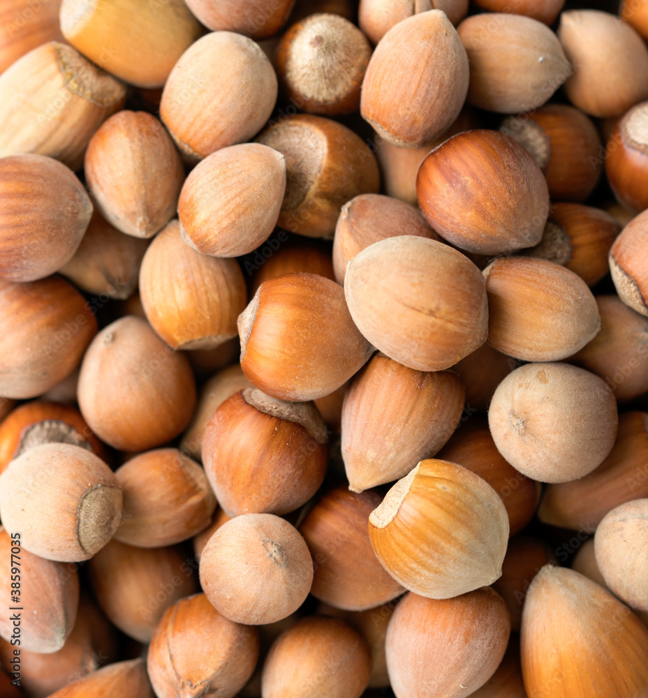 Heap of hazelnuts in a bowl, macro Heap of hazelnuts in a bowl, macro
