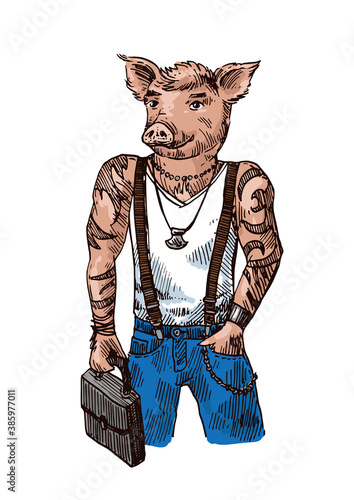 Pig dressed illustration. Hand drawn humanized piglet.