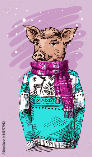 Pig dressed illustration. Hand drawn humanized piglet.
