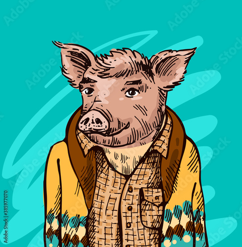 Pig dressed illustration. Hand drawn humanized piglet.