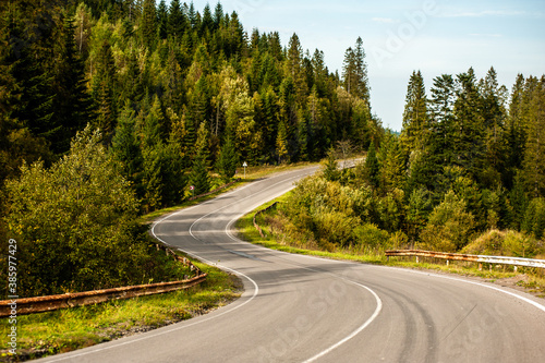 Beautiful winding road in the mountains through a coniferous forest