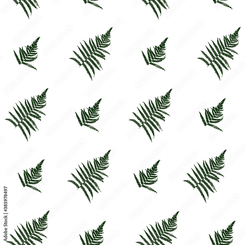 Fototapeta premium Seamless pattern with silhouettes of fern leaves isolated on white - background with diagonal figure for natural design