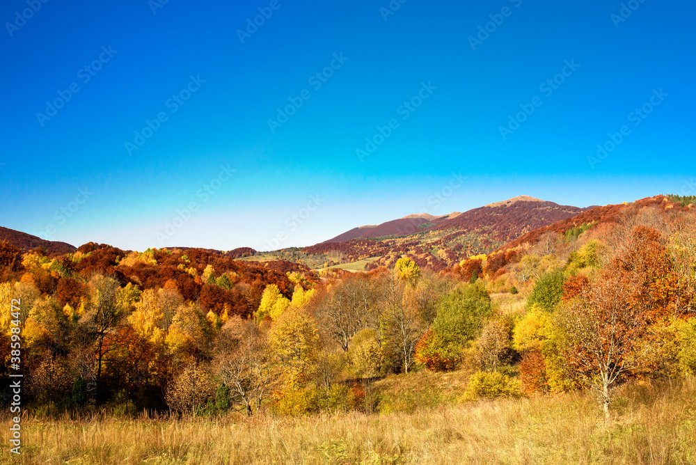 Obraz premium autumn in the mountains