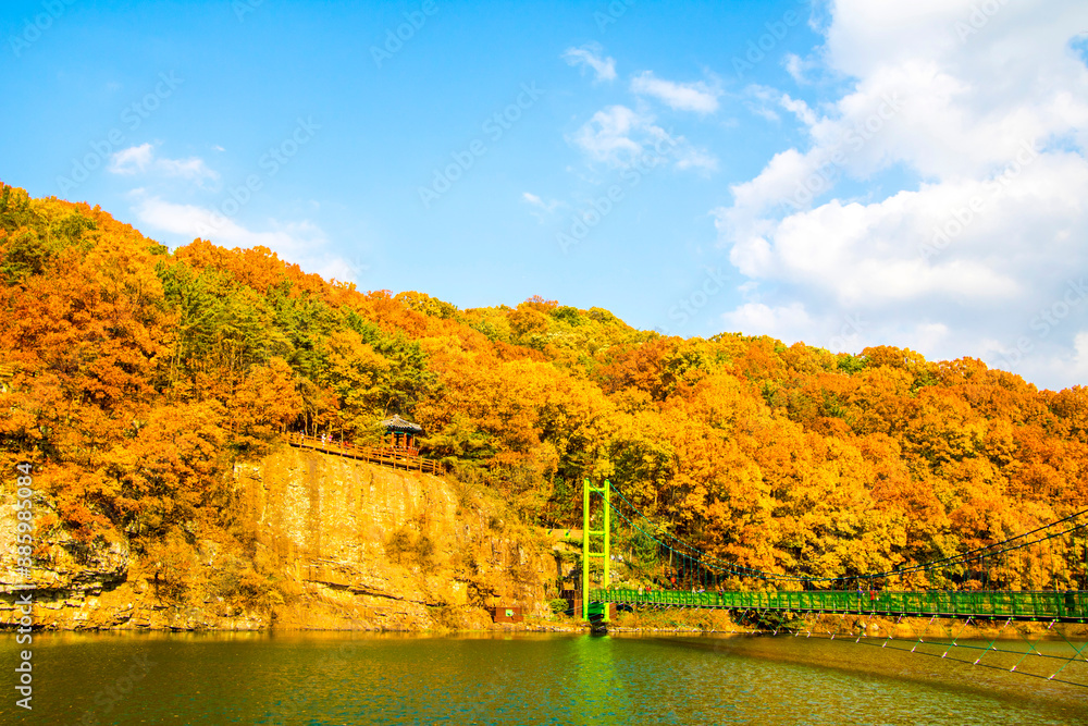 Obraz premium Collection of Beautiful Colorful Autumn Leaves reflected in the water 