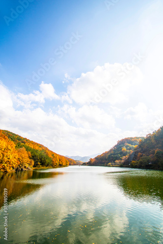 Collection of Beautiful Colorful Autumn Leaves reflected in the water 