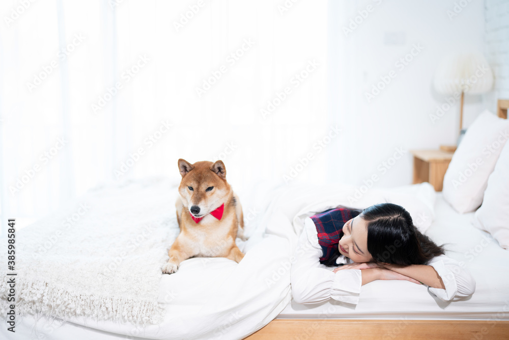 A young Asian woman lounging with a Shiba inu dog on a white bed. A young Asian woman lounging with a Shiba inu dog on a white bed.
