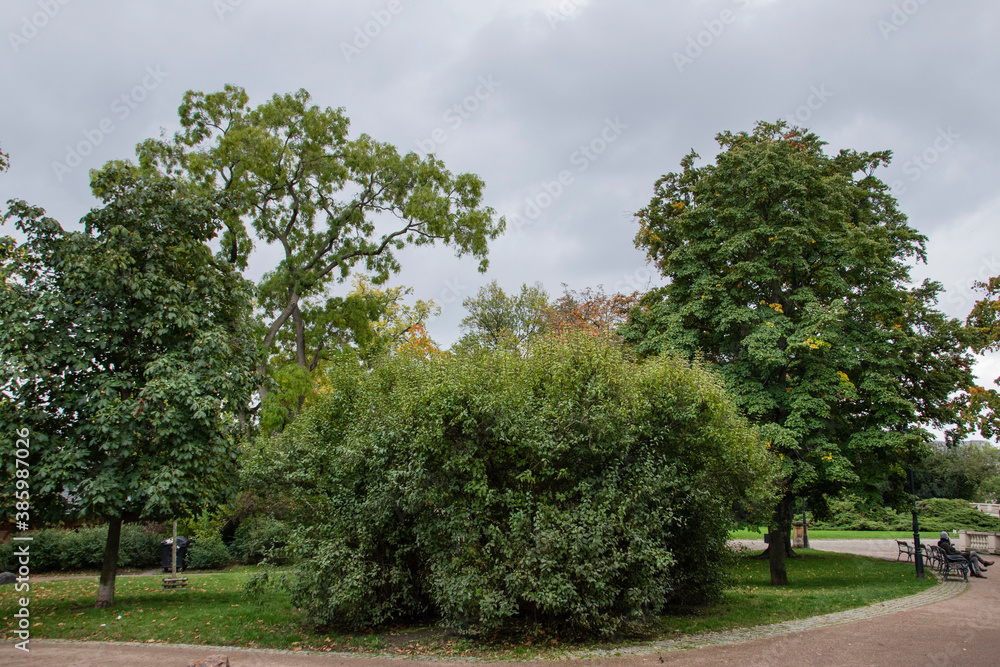 Fototapeta premium Public Park in early autumn colors