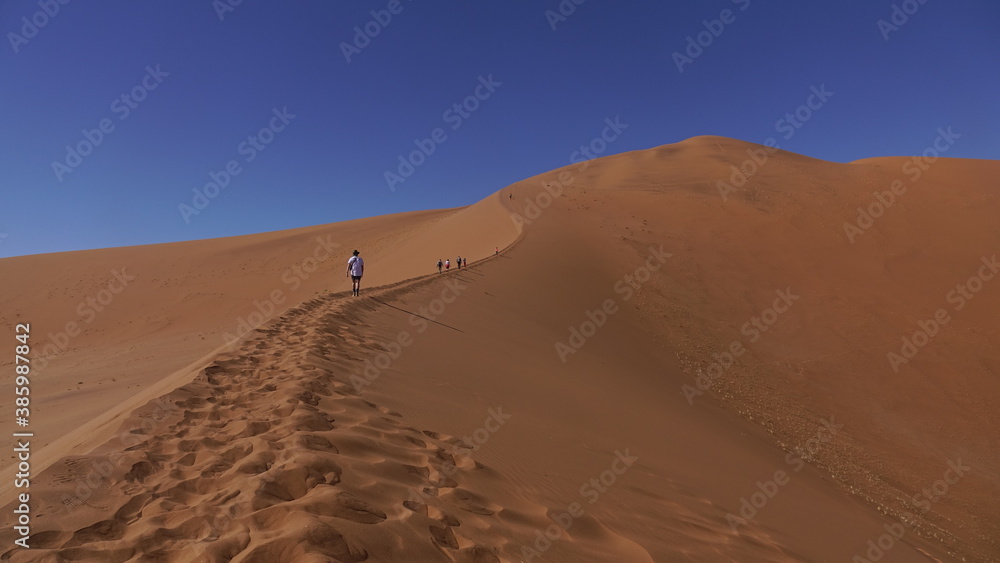 Namibia dunes. Walking on orange sand. Wild adventure. Walking in the desert. Namibia dunes. Walking on orange sand. Wild adventure. Walking in the desert.