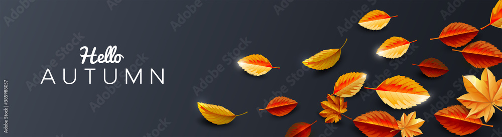 Autumn season background decorate with leaves and space. Autumn template for shopping sale promotion, poster, leaflet, web banner, greeting card and festival invitation. Vector illustration.