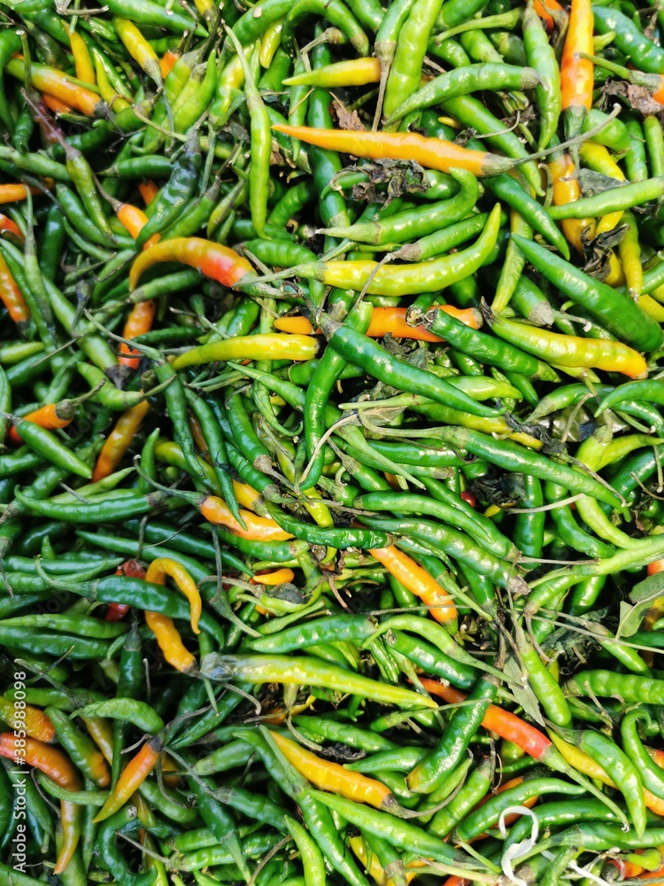 Indian Green chilli
