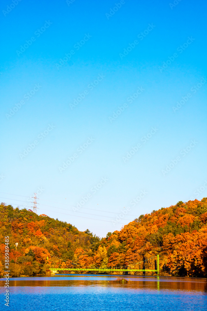 Obraz premium Collection of Beautiful Colorful Autumn Leaves reflected in the water 