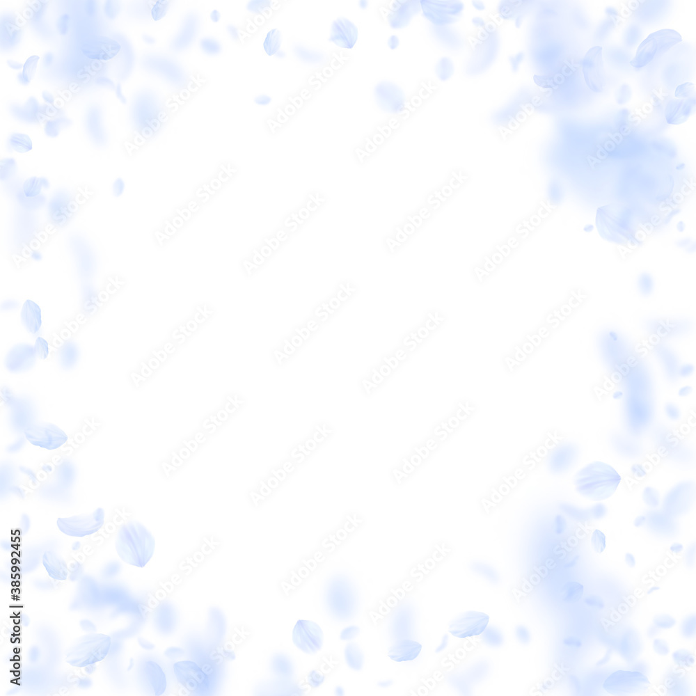 Light blue flower petals falling down. Amusing rom Light blue flower petals falling down. Amusing rom