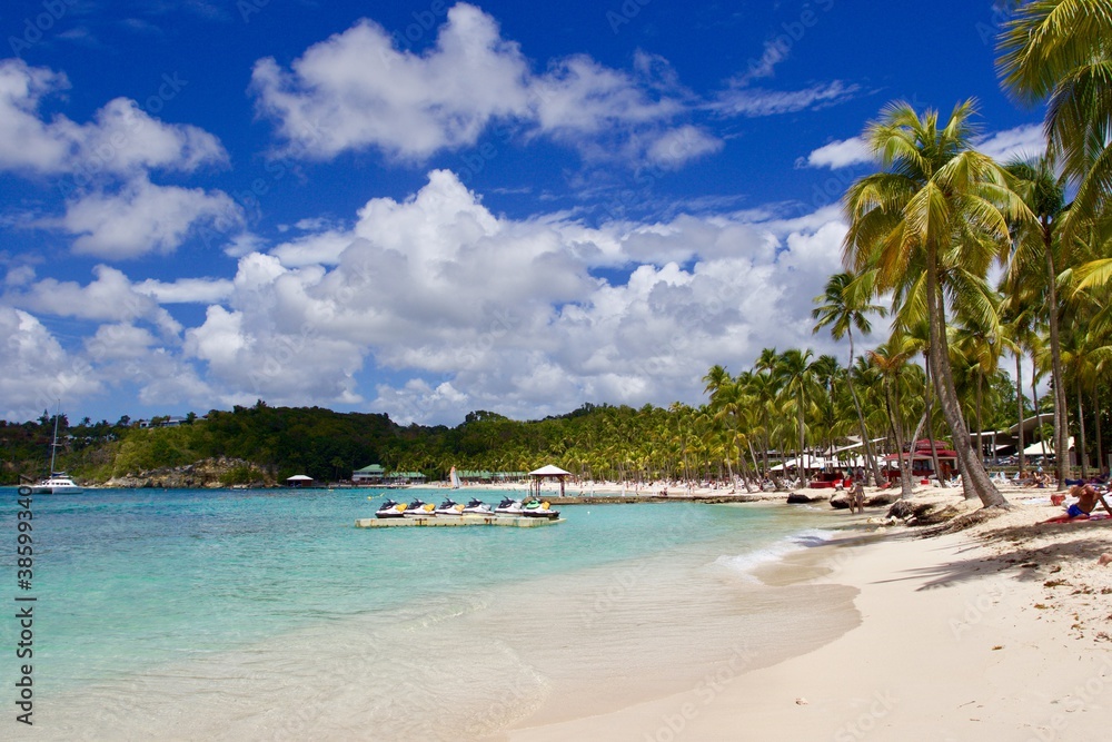 Tropical beach with palm trees, Guadeloupe Tropical beach with palm trees, Guadeloupe