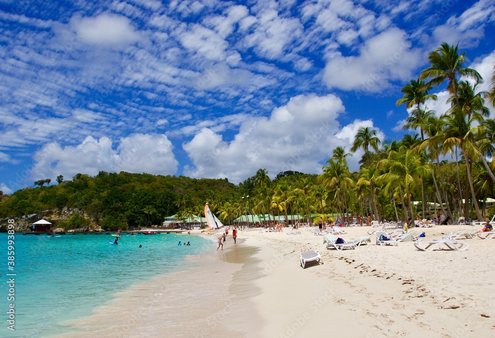 Fototapeta premium Tropical carribean beach on Guadeloupe island 