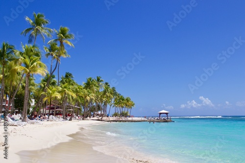 White sand beach with palm trees and tropical turquoise sea water, Guadeloupe, French Antilles 