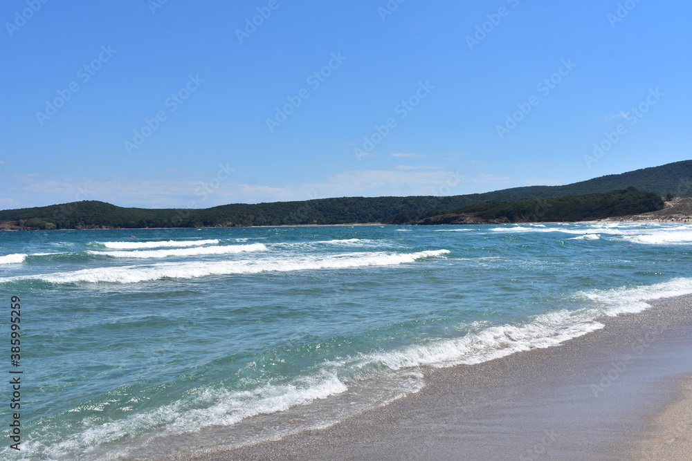 waves on the beach