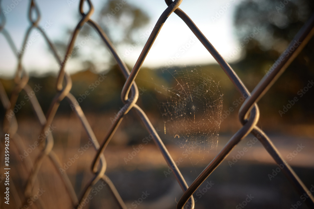 a spider web on the fence that runs through the mount of El Pardo in Madrid. Spain a spider web on the fence that runs through the mount of El Pardo in Madrid. Spain