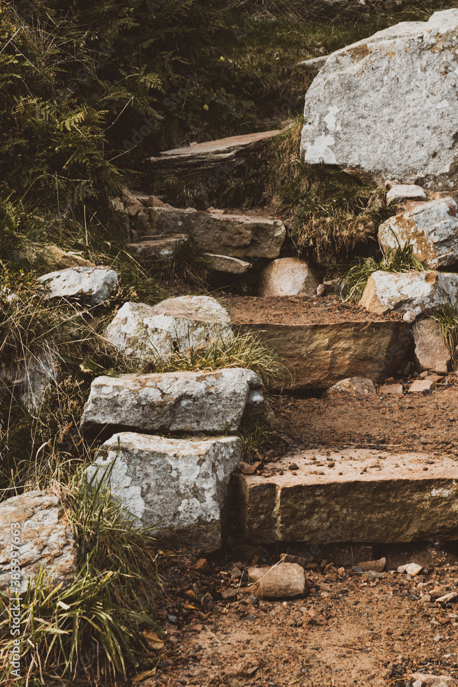 Obraz premium Rocky Path