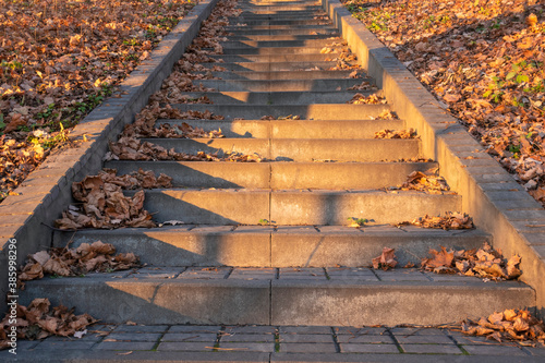 Stairs with dry leaves in autumn park on sunny day.
