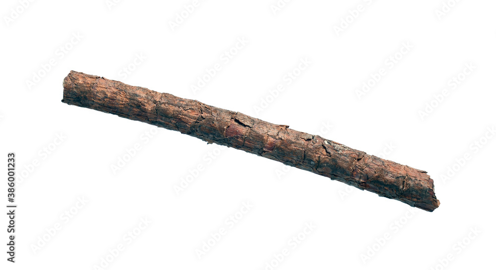 Old dry branch of a tree Old dry branch of a tree