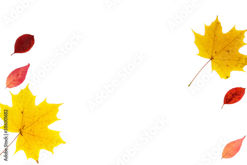 Frame made of autumn leaves orange and yellow and different types on the sides on a white background.