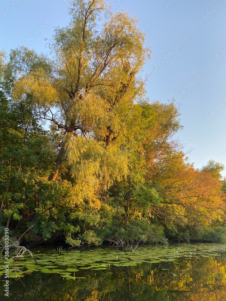 autumn in the park