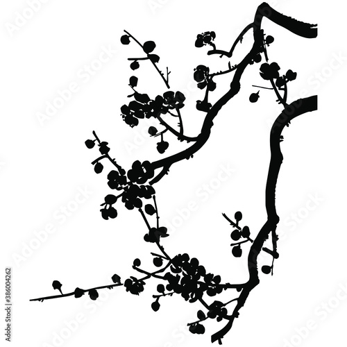 A branch of a blossoming fruit tree. Hand drawn vector silhouette of plum mei, wild apricots and sakura. 
Stock illustration of black and white  tree branch.