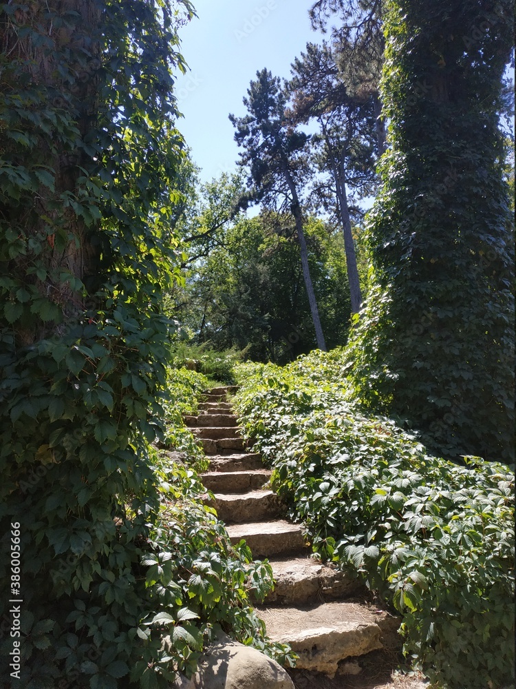 Fototapeta premium stairway to heaven
