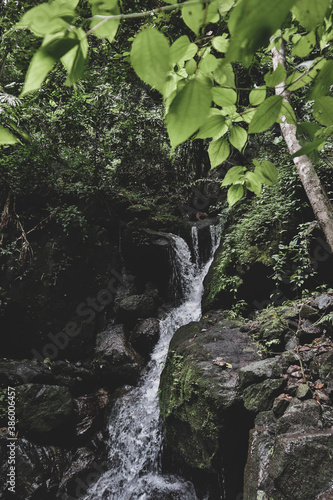 Waterfalls in the tropical forest park of Thailand. Beautiful forest park.