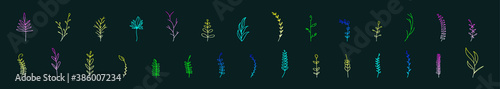 set of boho plants cartoon icon design template with various models. vector illustration isolated on dark background