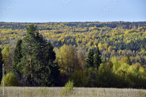 A riot of colors in the Ural forest. Autumn is in full swing in the foothills of the Western Urals. Natural background for graphic projects.