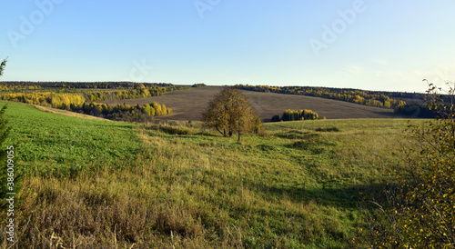 Endless agricultural fields framed by colorful autumn forest. Autumn is in full swing in the foothills of the Western Urals.