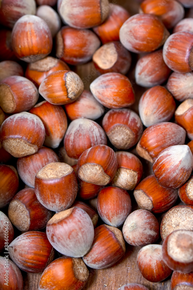 Macro shots, Beautiful HAZELNUT – Stock Image Macro shots, Beautiful HAZELNUT – Stock Image