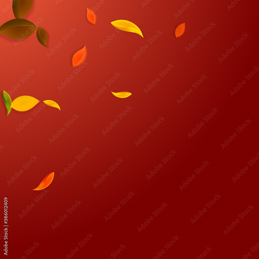 Falling autumn leaves. Red, yellow, green, brown c Falling autumn leaves. Red, yellow, green, brown c
