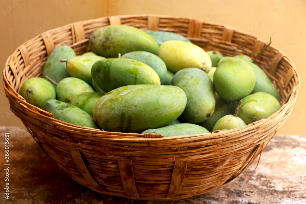 Bunch of raw mango in traditional basket Bunch of raw mango in traditional basket