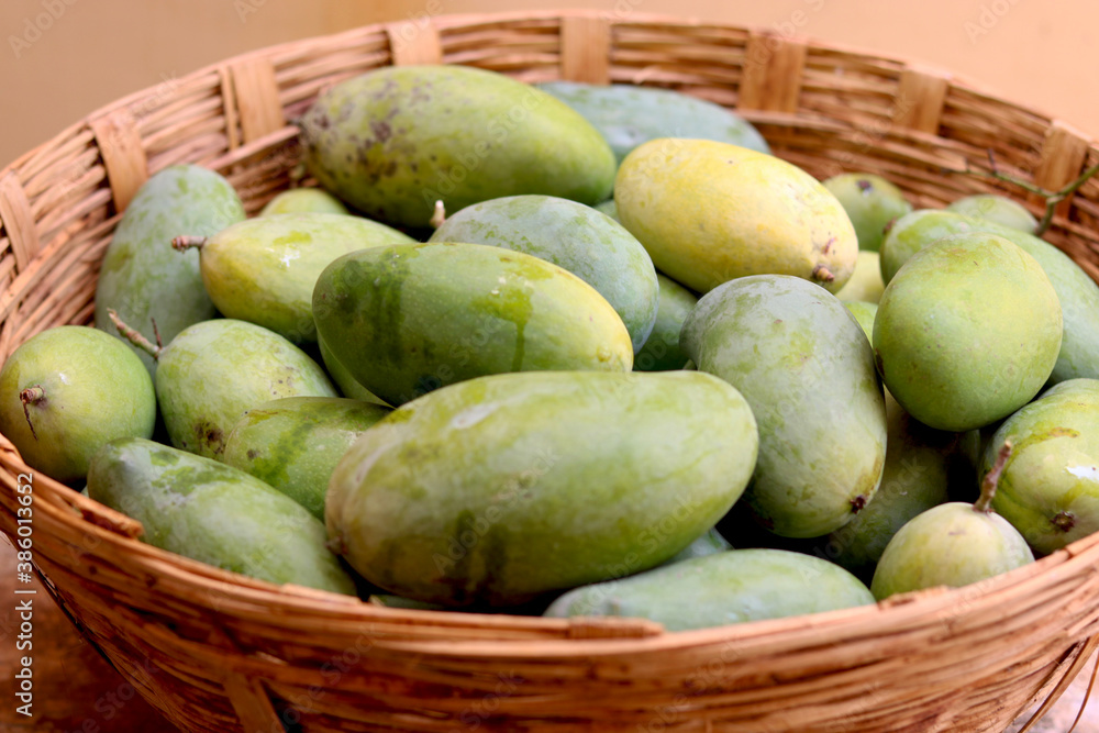Bunch of raw mango in traditional basket