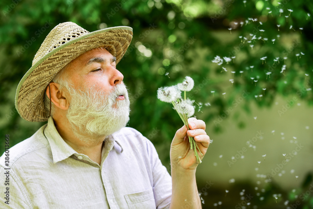 Fototapeta premium Harmony of soul. Elderly man in straw summer hat. Grandpa senior man blowing dandelion seeds in park. Mental health. Peaceful grandpa blowing dandelion. Happy and carefree retirement. Peace of mind